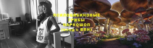 PSILOCYBIN Алзамай