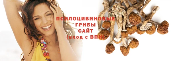 круглые Алексеевка