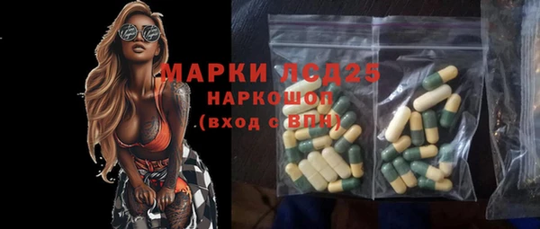 PSILOCYBIN Алзамай