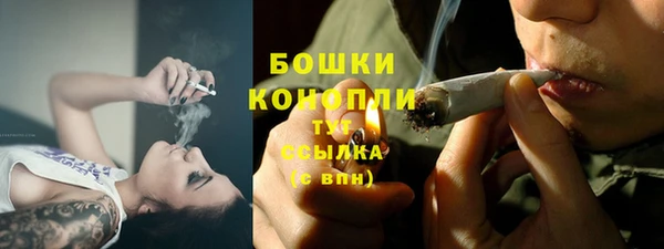 PSILOCYBIN Алзамай