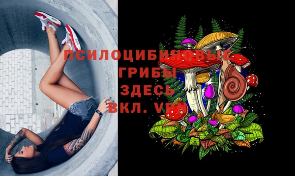 mix Алексин