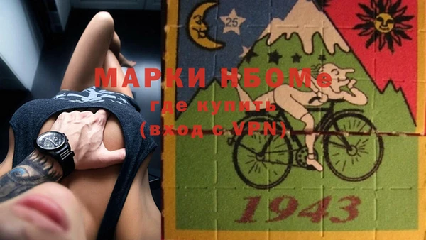 PSILOCYBIN Алзамай