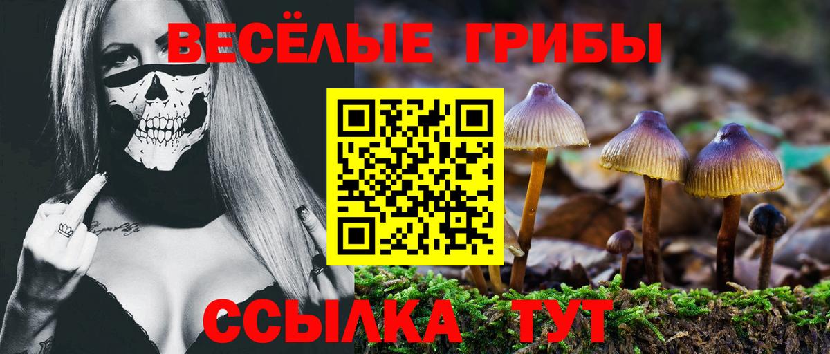 что такое наркотик  Псилоцибиновые грибы MAGIC MUSHROOMS  Вход с VPN  Апрелевка 