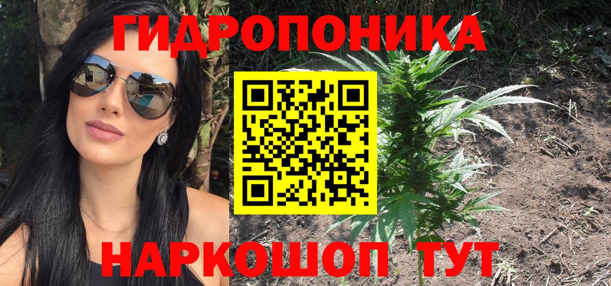 Бошки марихуана сатива Апрелевка